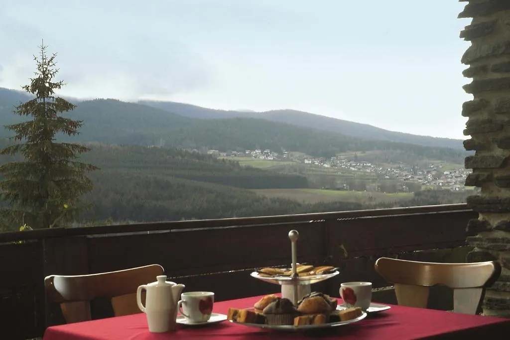 Hotel Haus Am Berg Lam